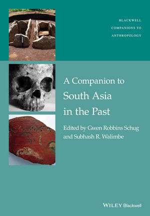 A Companion to South Asia in the Past - Gwen Robbins Schug, Subhash R. Walimbe
