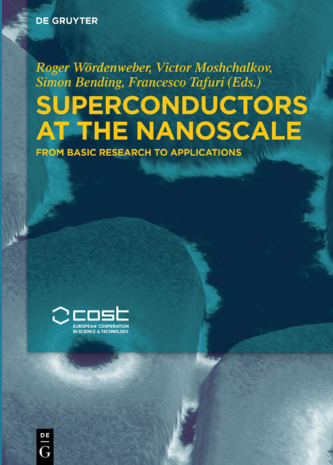 Superconductors at the Nanoscale - 