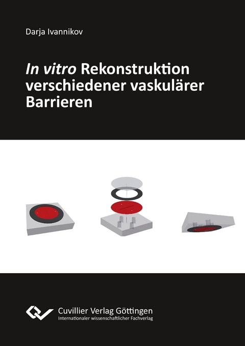 In vitro Rekonstruktion verschiedener vaskulärer Barrieren - Darja Ivannikov