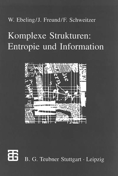 Komplexe Strukturen: Entropie und Information - Jan Freund, Frank Schweitzer