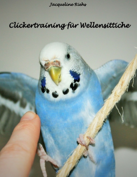 Clickertraining für Wellensittiche - Jacqueline Riehs