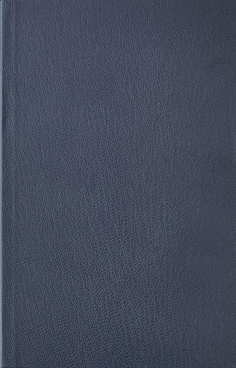 Werke in zeitlicher Folge. Frankfurter Ausgabe in zwölf Bänden - August Strindberg