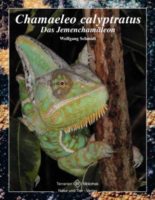 Chamaeleo calyptratus - Wolfgang Schmidt