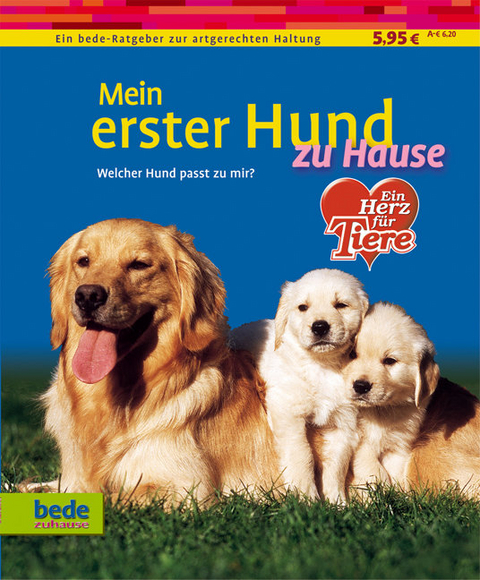 Mein erster Hund zu Hause - Dominik Kieselbach