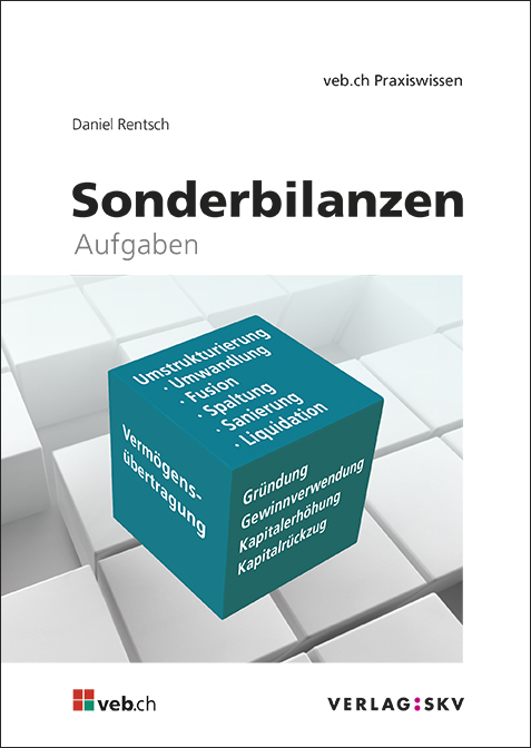 Sonderbilanzen - Daniel Rentsch