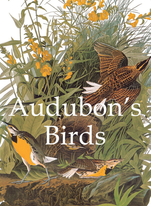 Audubon's Birds -  Audubon John James Audubon