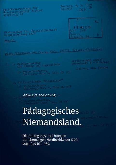 Pädagogisches Niemandsland. - Anke Dreier-Horning