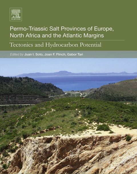 Permo-Triassic Salt Provinces of Europe, North Africa and the Atlantic Margins - 