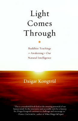 Light Comes Through - Dzigar Kongtrul