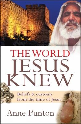 The World Jesus Knew - Anne Punton