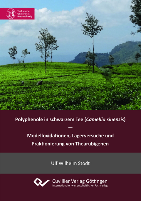 Polyphenole in schwarzem Tee (Camellia sinensis) - Modelloxidationen, Lagerversuche und Fraktionierung von Thearubigenen - Ulf Wilhelm Stodt