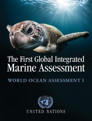 First Global Integrated Marine Assessment - 