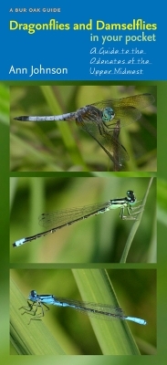 Dragonflies and Damselflies in Your Pocket - Ann Johnson