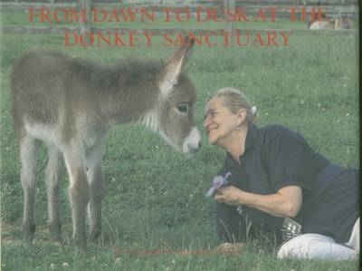 From Dawn to Dusk at the Donkey Sanctuary - Elisabeth D. Svendsen