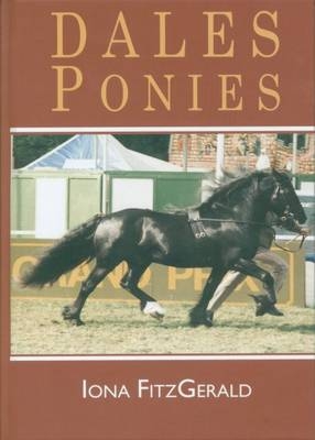 Dales Ponies - Iona Fitzgerald