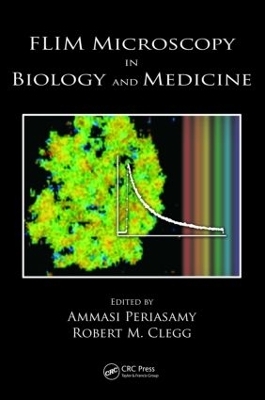 FLIM Microscopy in Biology and Medicine - 