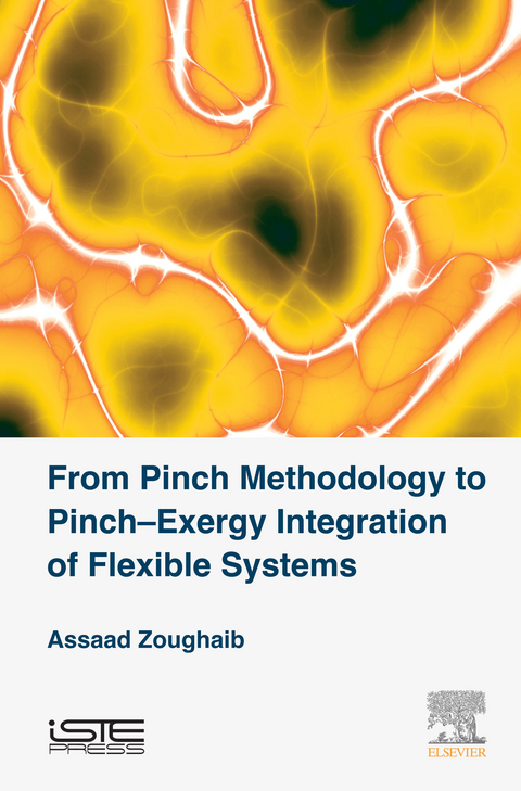 From Pinch Methodology to Pinch-Exergy Integration of Flexible Systems -  Assaad Zoughaib