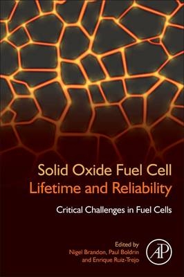 Solid Oxide Fuel Cell Lifetime and Reliability -  Nigel Brandon