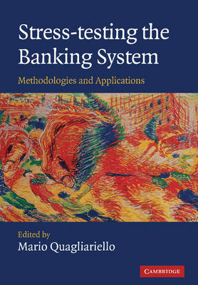 Stress-testing the Banking System - 