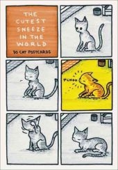 Cutest Sneeze in the World Postcard Box - Jeffrey Brown