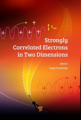Strongly Correlated Electrons in Two Dimensions - Boston Sergey (Northeastern University  Massachusetts  USA) Kravchenko
