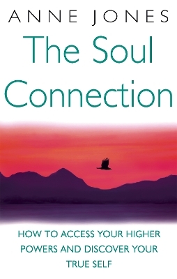 The Soul Connection - Anne Jones