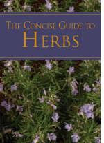 A Concise Guide to Herbs
