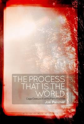 Process That Is the World -  Panzner Joe Panzner