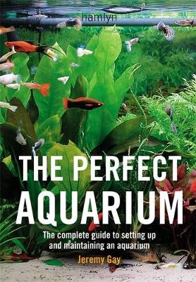 Perfect Aquarium -  Jeremy Gay