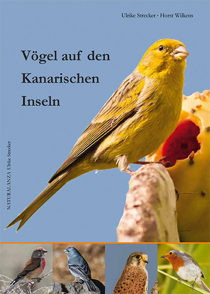 Vögel auf den Kanarischen Inseln - Ulrike Strecker, Horst Wilkens
