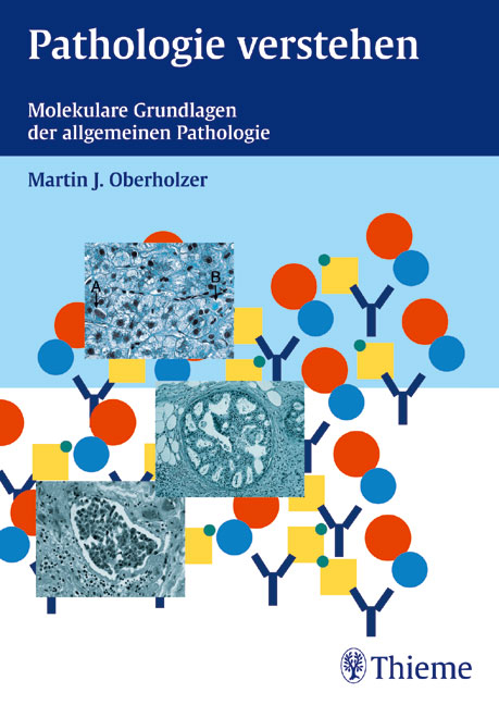 Pathologie verstehen - Martin J Oberholzer
