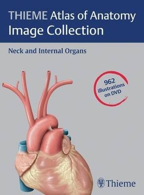 THIEME Atlas of Anatomy Image Collection: Head and Internal Organs - Erik Schulte Michael Schuenke