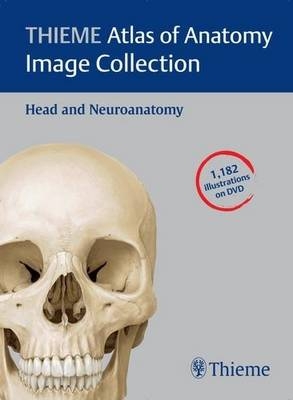 THIEME Atlas of Anatomy Image Collection: Head and Neuroanatomy - Erik Schulte Michael Schuenke