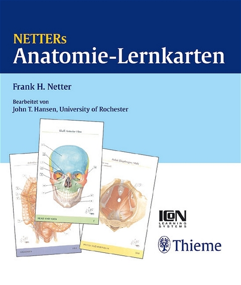 Netters Anatomie-Lernkarten - Frank H Netter