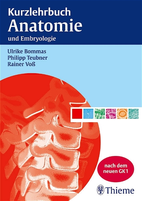 Kurzlehrbuch Anatomie - Ulrike Bommas, Philipp Teubner, Rainer Voß