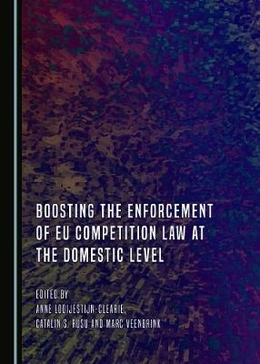 Boosting the Enforcement of EU Competition Law at the Domestic Level - 