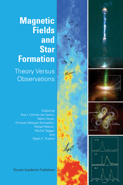 Magnetic Fields and Star Formation - 