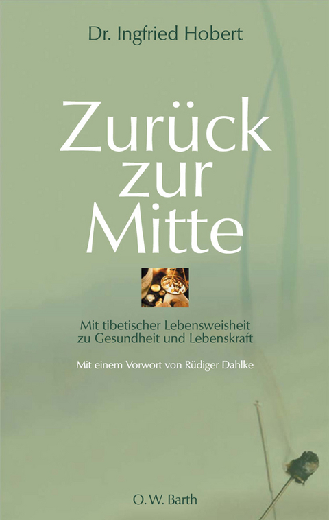 Zurück zur Mitte - Ingfried Hobert