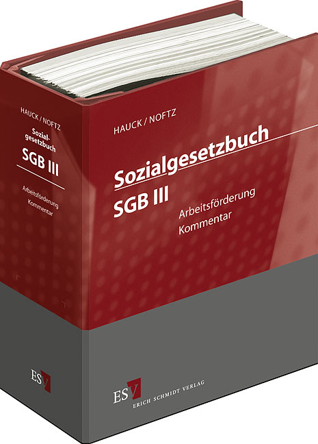 Sozialgesetzbuch (SGB) – Gesamtkommentar / Sozialgesetzbuch (SGB) III: Arbeitsförderung - Einzelbezug - 
