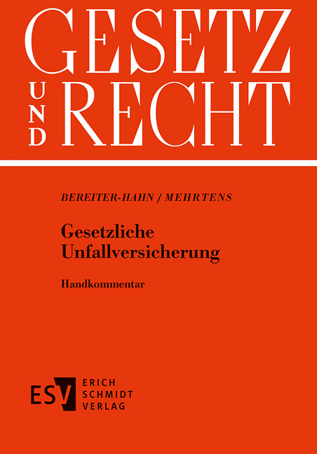 Gesetzliche Unfallversicherung - Einzelbezug - 