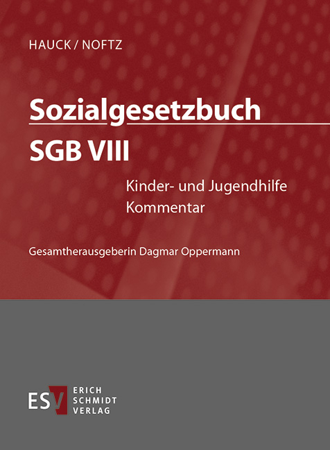 Sozialgesetzbuch (SGB) – Gesamtkommentar / Sozialgesetzbuch (SGB) VIII: Kinder- und Jugendhilfe - Einzelbezug - Minou Banafsche, Renate Bieritz-Harder, Cornelia Bohnert, Michael Greßmann, Christian Grube, Guido Kirchhoff, Benjamin Raabe, Wolfgang Rombach, Axel Stähr, Wolfgang Trede