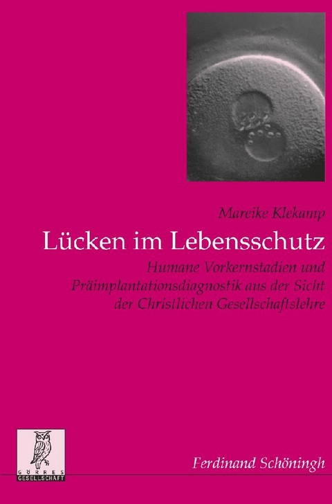 Lücken im Lebensschutz - Mareike Klekamp