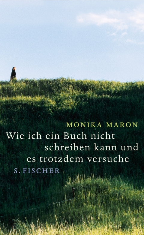 Wie ich ein Buch nicht schreiben kann und es trotzdem versuche - Monika Maron