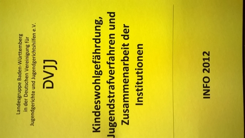 Kindeswohlgefährdung, Jugendstrafverfahren und die Zusammenarbeit der Institutionen - 