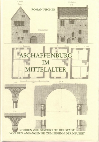 Aschaffenburg im Mittelalter - Roman Fischer
