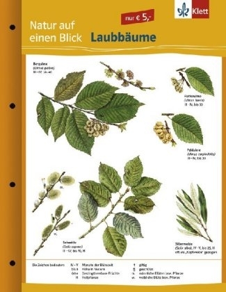 Laubbäume