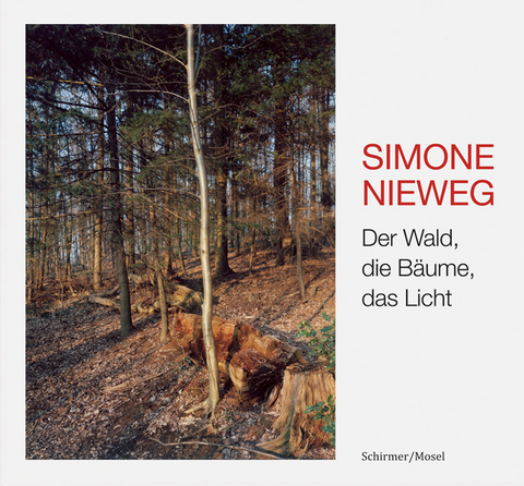 Der Wald, die Bäume, das Licht - Simone Nieweg