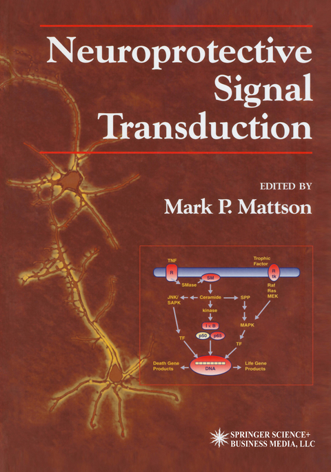 Neuroprotective Signal Transduction - 