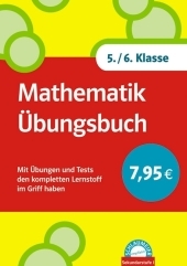 Schlaumeier: Mathematik Übungsbuch 5./6.Klasse