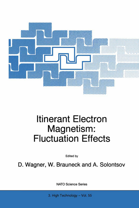 Itinerant Electron Magnetism: Fluctuation Effects - 